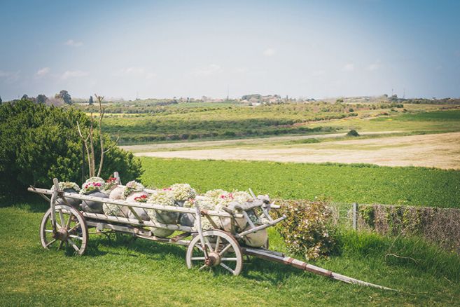 Wedding Venues in Israel